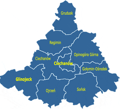 Wybory samorządowe: kto został radnym w gminach?