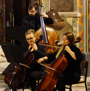 Koncert Sinfonii Viva